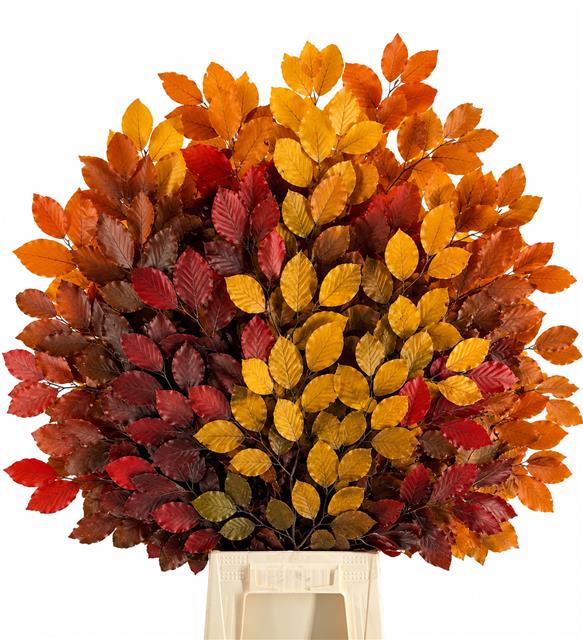 Faggio Preserved Mix (beech,beuk)