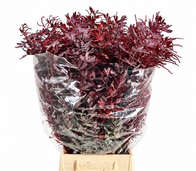 Decoration Greens Painted 70cm 200gram