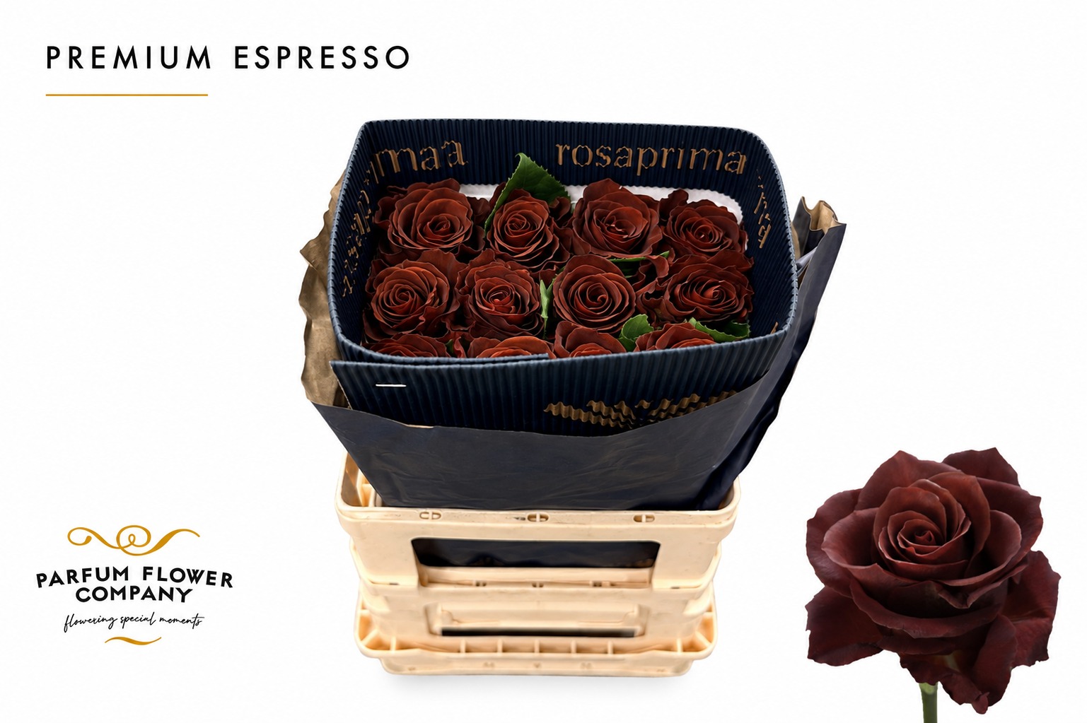 R Gr Espresso