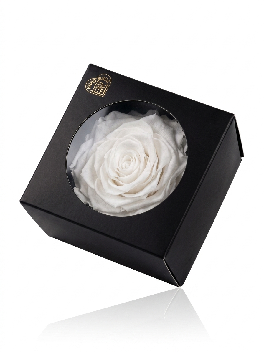 Rosa Preserved Pure White Solitarie