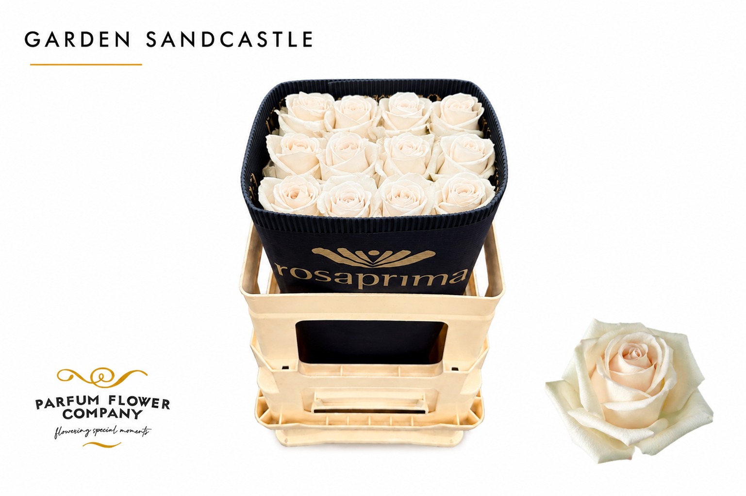 Rosa Garden Sandcastle