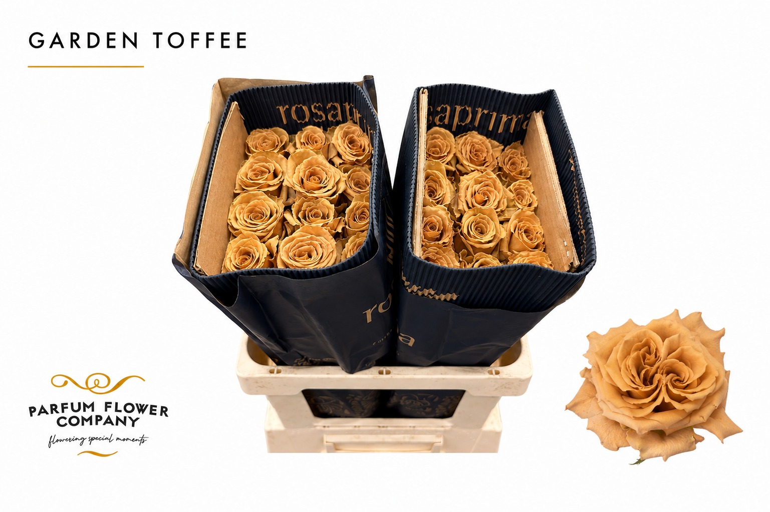 Rosa Garden Toffee