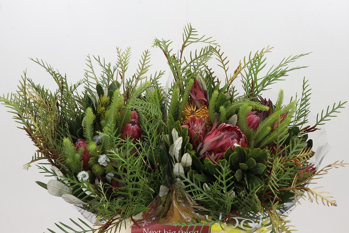 Protea Bouquet Per Bunch 45cm