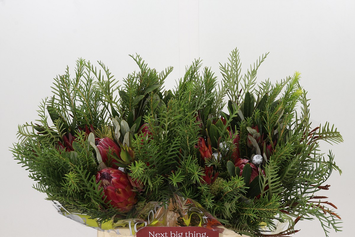 Protea Bouquet Per Bunch 40cm