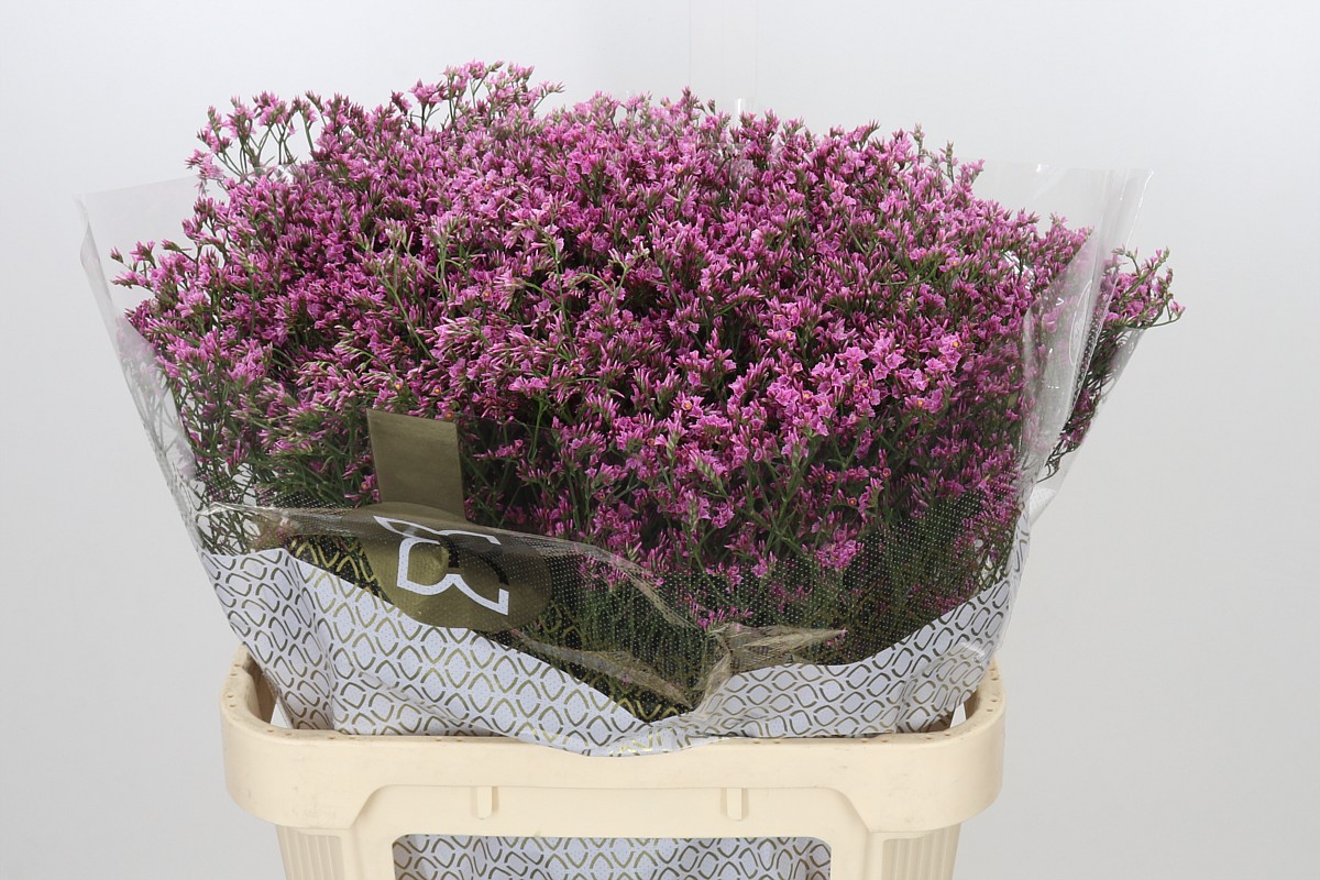 Limonium Sin Tiffany Diamond 80cm 35gram