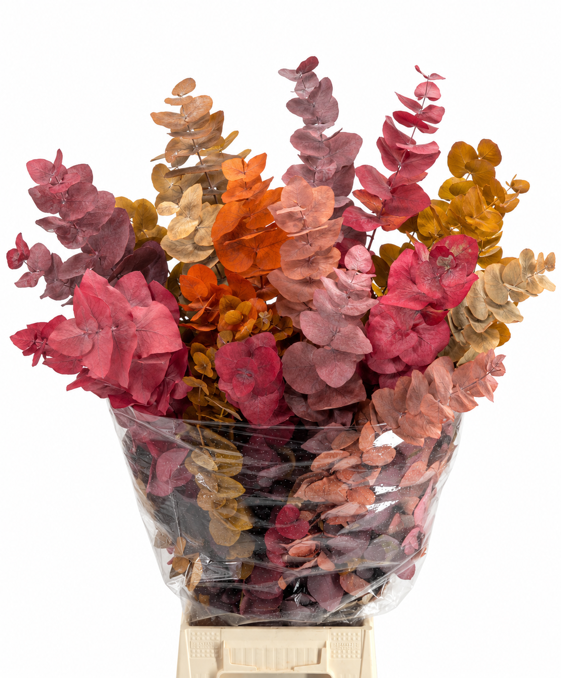 Eucalyptus Leaves Bnch 70cm 150gram