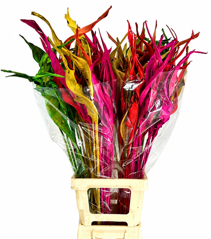 Strelitzia Leaves 100cm