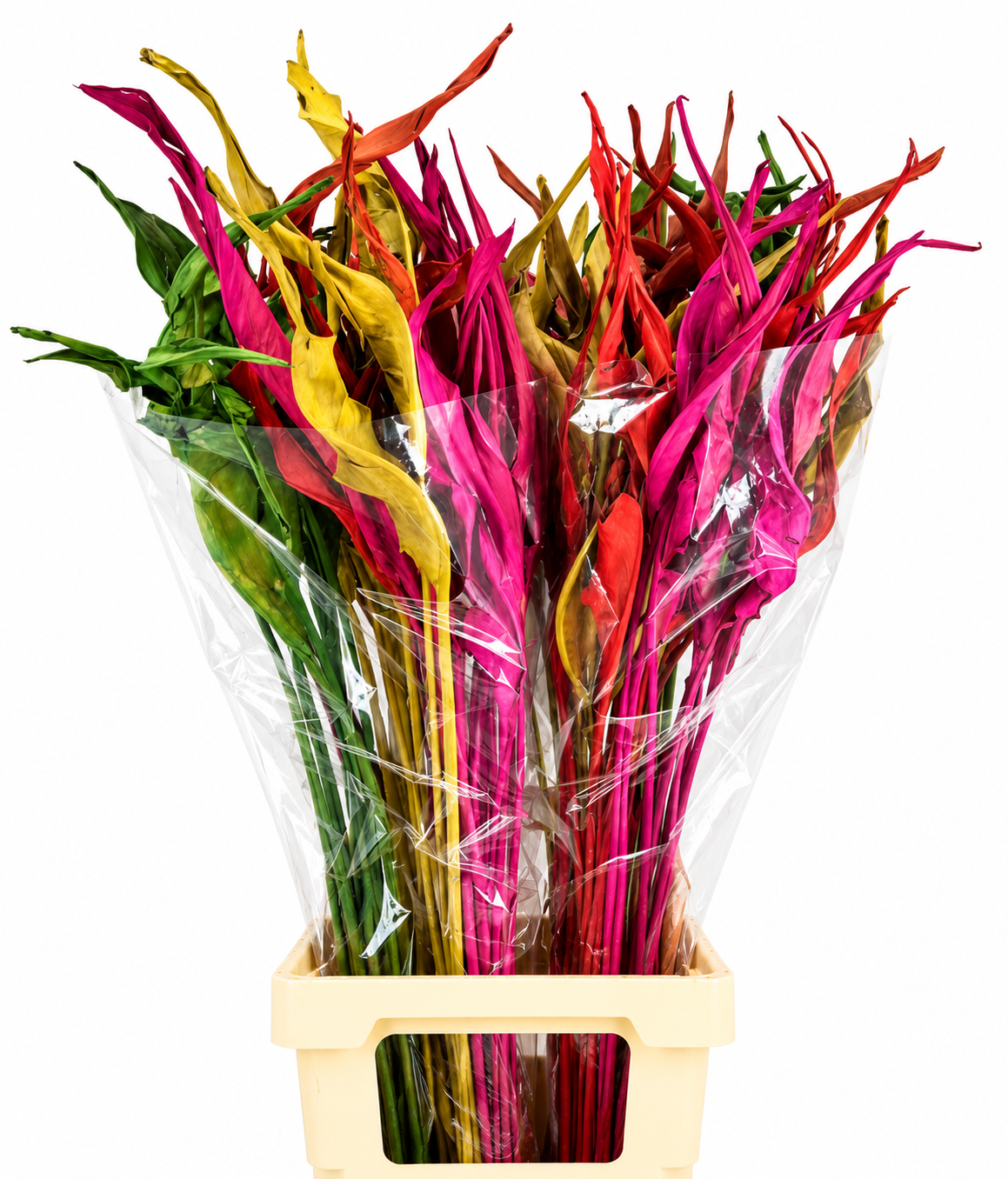 Strelitzia Leaves 100cm